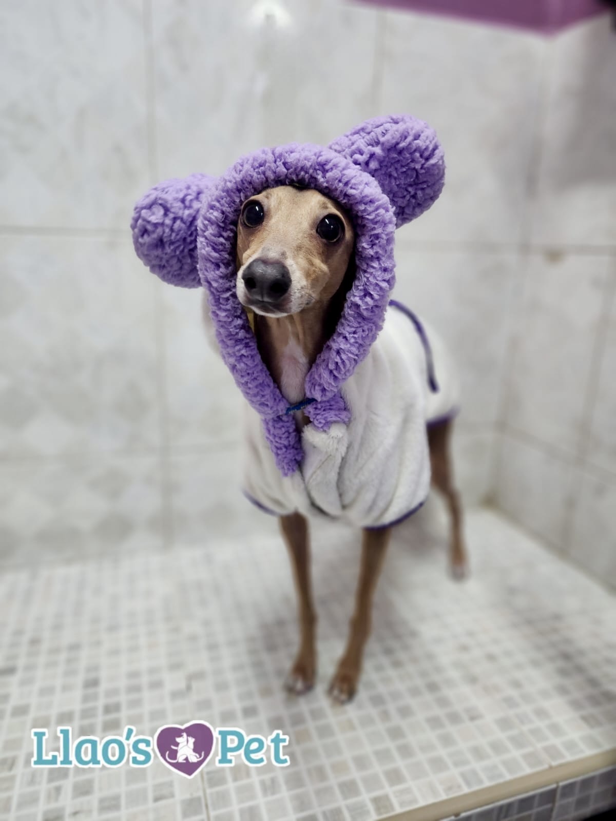 1_SpaDeluxMelenitaCorta