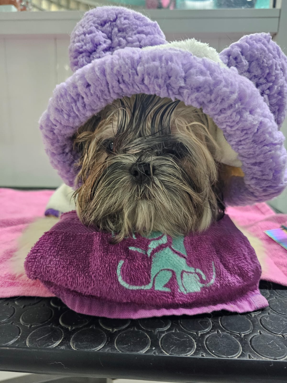 2_SpaDeluxMelenitaLarga