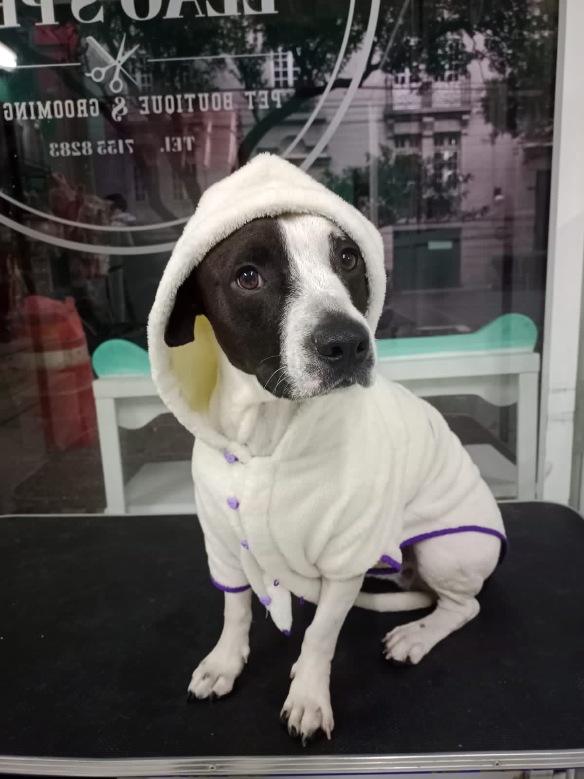 4_SpaCoquetoMelenitaCorta