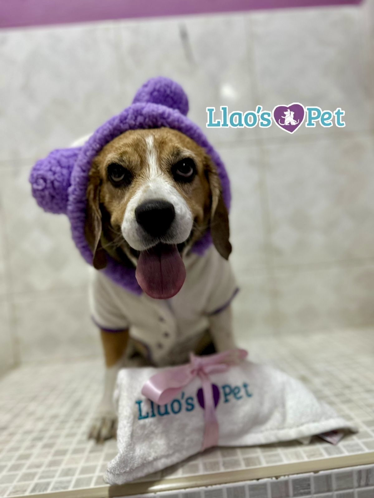 4_SpaCoquetoMelenitaCorta