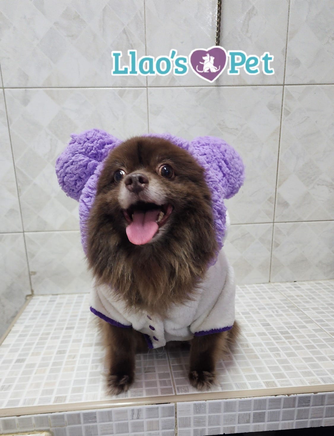 5_SpaCoquetoMelenitaLarga