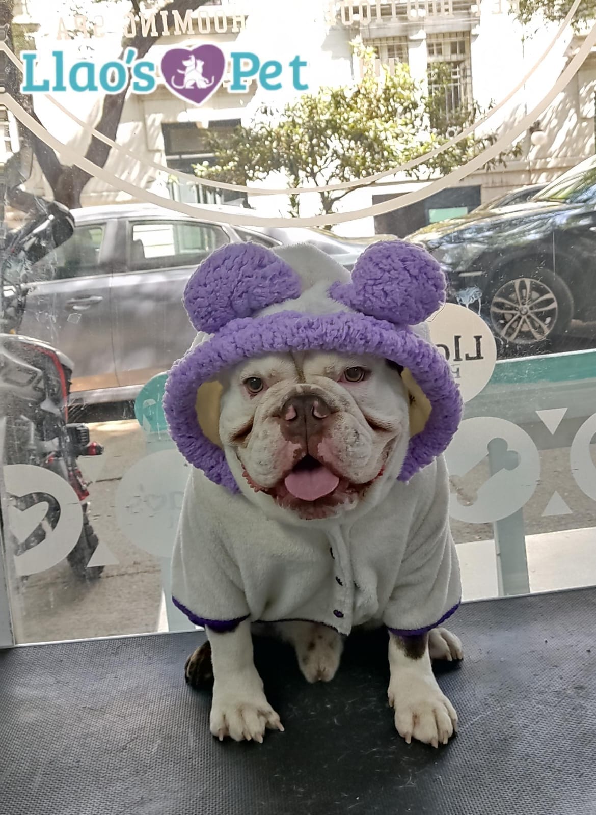 SpaCoquetoMelenitaCorta