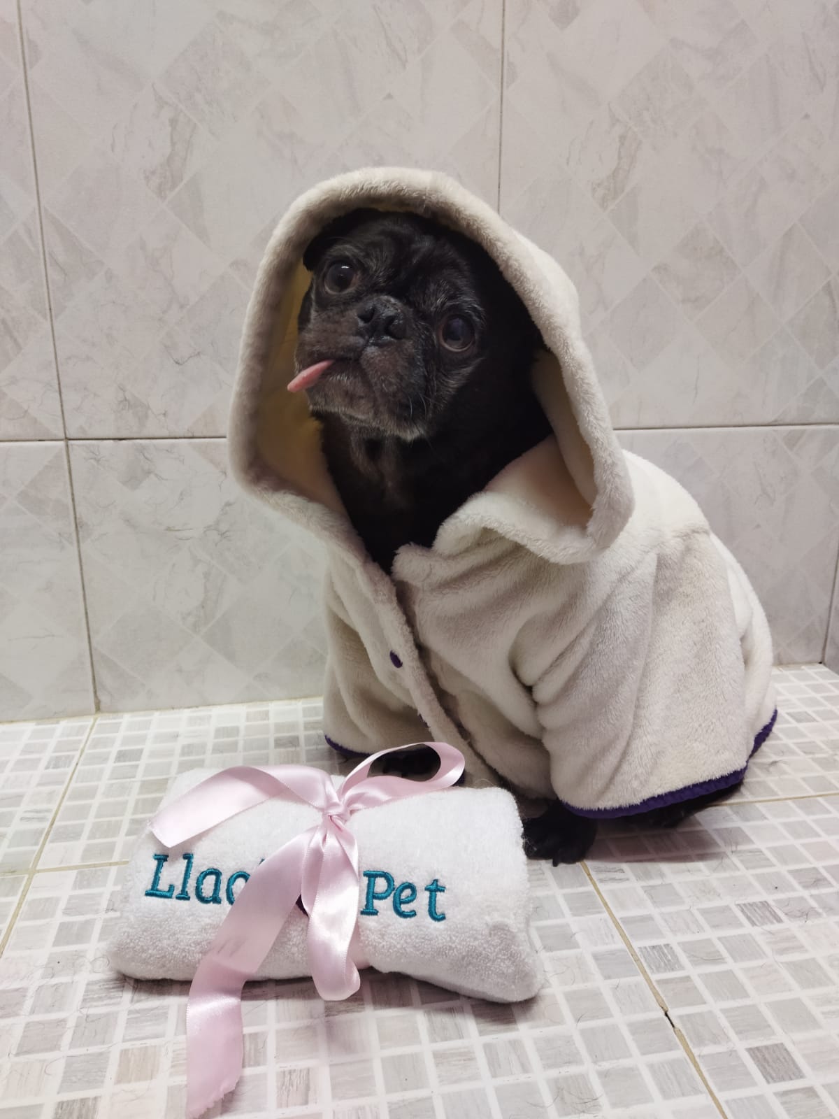 SpaCoquetoMelenitaCorta