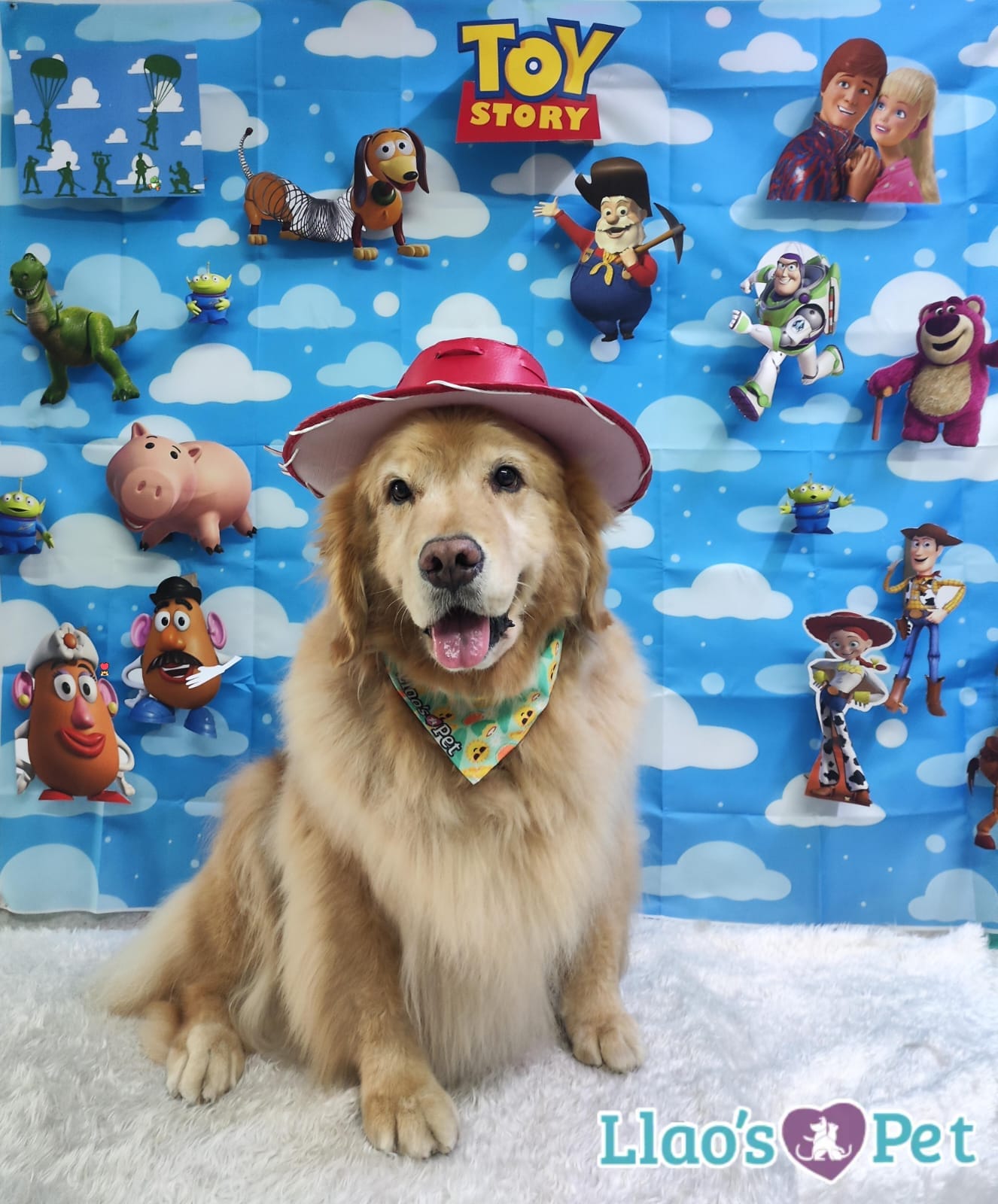 SpaCoquetoMelenitaLarga